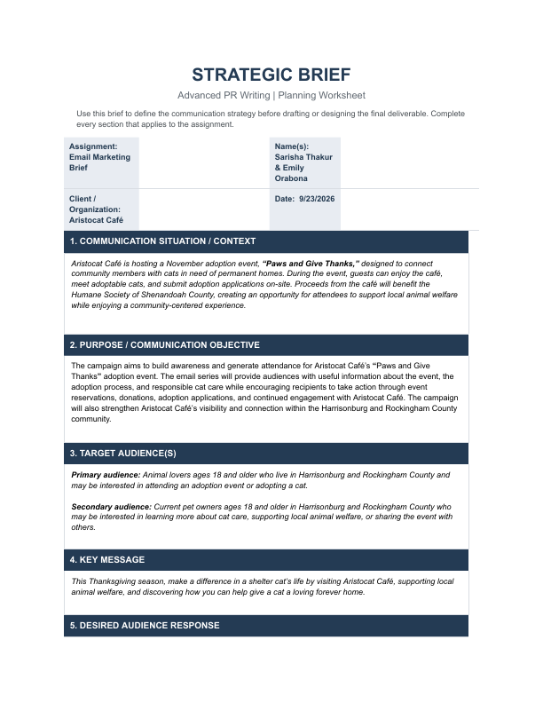 First page of the email marketing brief showing campaign context, objectives, and target audiences